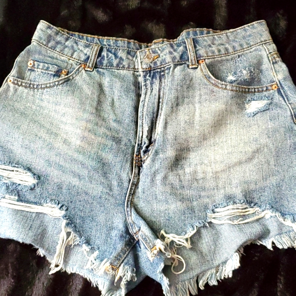 Wild Fable Distressed Shorts